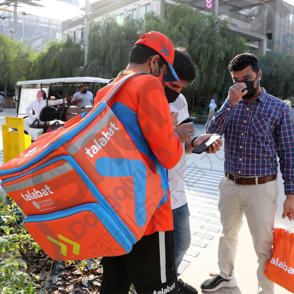 Delivery Bags